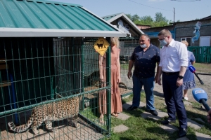Алексей Текслер провел встречу с представителями зоозащитных организаций