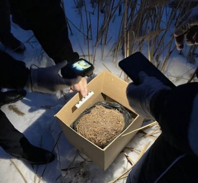 Сотрудники полиции Троицка изъяли почти 700 граммов конопли