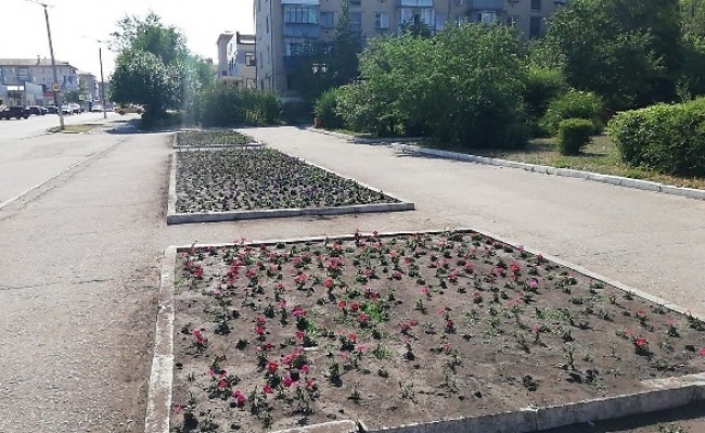 К подрядной организации, осуществлявшей высадку цветов на территории города, выставлены претензионные акты