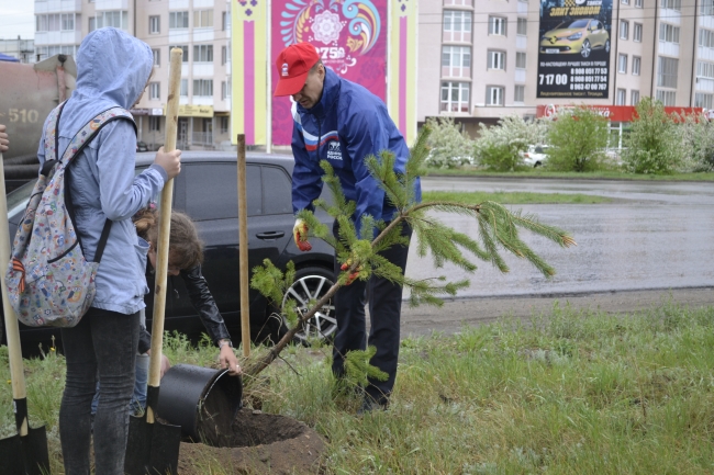 В Троицке активно реализуется проект озеленения города
