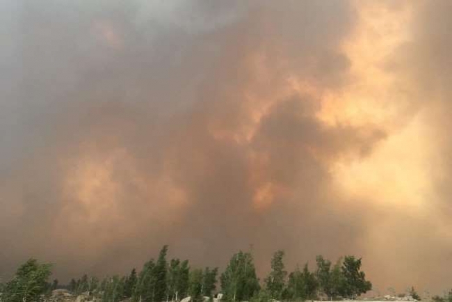 Лесной пожар подобрался к поселку на юге Челябинской области. Люди в панике
