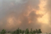 Лесной пожар подобрался к поселку на юге Челябинской области. Люди в панике