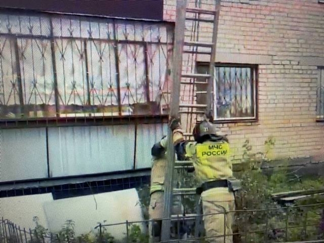 9 октября на пульт диспетчера Троицкого пожарно-спасательного гарнизона поступило сообщение о том, что в квартире по улице Интернациональная заперты двое маленьких детей.