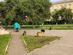 Фото автора сделано на Майской площади, у Дома ветеранов.