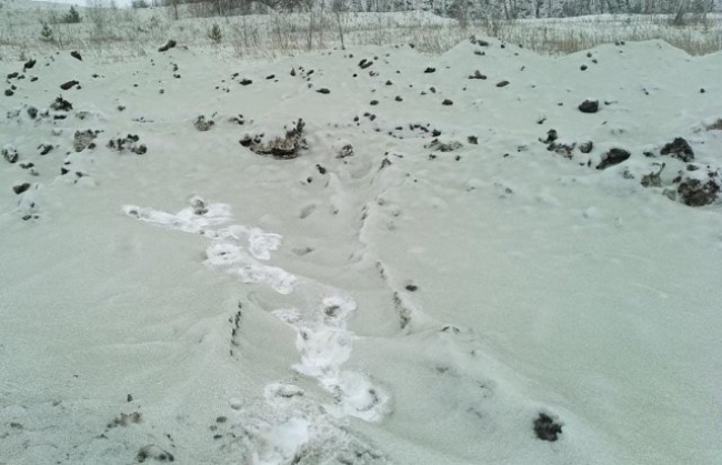 Южноуральцы обнаружили зеленый снег на въезде в Челябинск