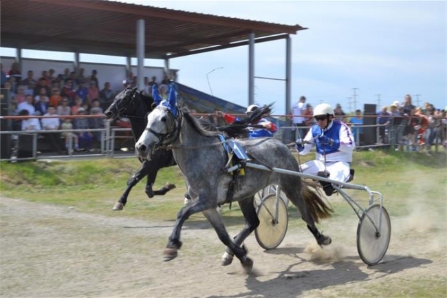 В Троицке прошли конно-спортивные соревнования