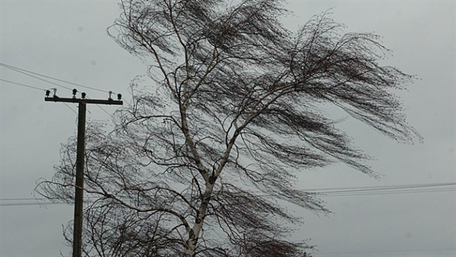 В ближайшие сутки в Троицке ожидается шквалистый ветер