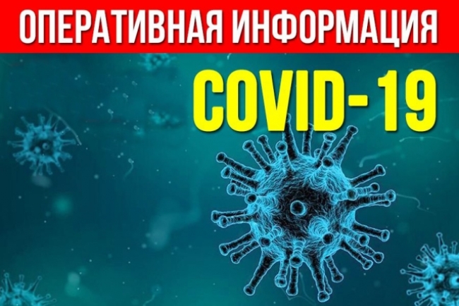 По состоянию на 02.04.2020 г. случаев заболевания новым коронавирусом на территории города не выявлено.