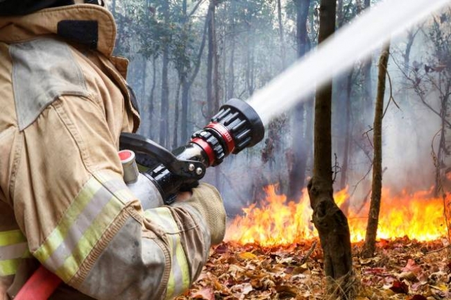 Ситуацию с лесными пожарами в Челябинской области удалось стабилизировать