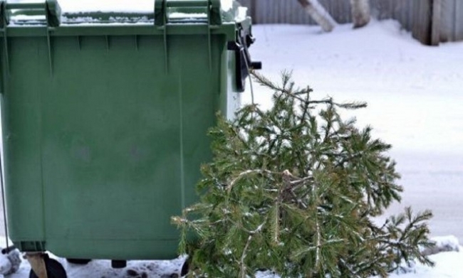 Южноуральцы могут экологично утилизировать новогодние елки