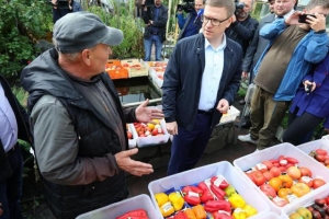 В Челябинской области будет увеличен объем поддержки  садоводов