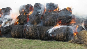 В Троицком районе злоумышленники подожгли сено, оставив животных на зиму без кормов
