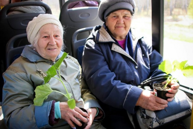 На очередном заседании Собрания депутатов города Троицка было принято решение о льготном проезде садоводов на сезонных маршрутах городского общественного транспорта