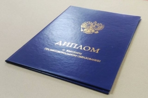 Троичанин заплатит 10 тысяч рублей за попытку устроиться на работу по поддельному диплому