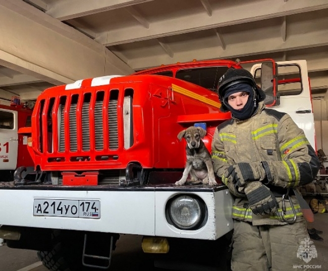 Огнеборцы Троицкого пожарно-спасательного гарнизона взяли в свои ряды новобранца!