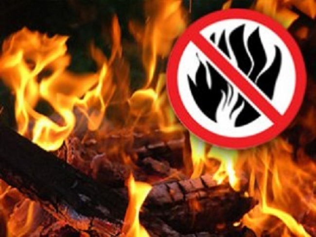 В Троицке введен особый противопожарный режим
