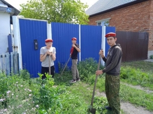 Добровольцы в действии