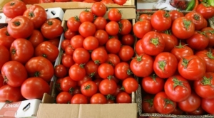78 тонн томатов остановили Челябинские таможенники на границе с Казахстаном