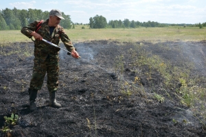 В майские праздники на Южном Урале ликвидировано 43 лесных пожара