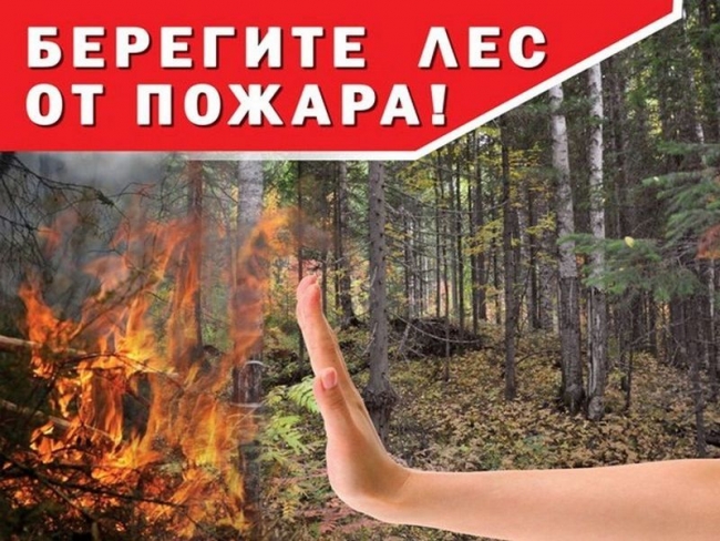 В Челябинской области с 5 апреля установлен пожароопасный сезон
