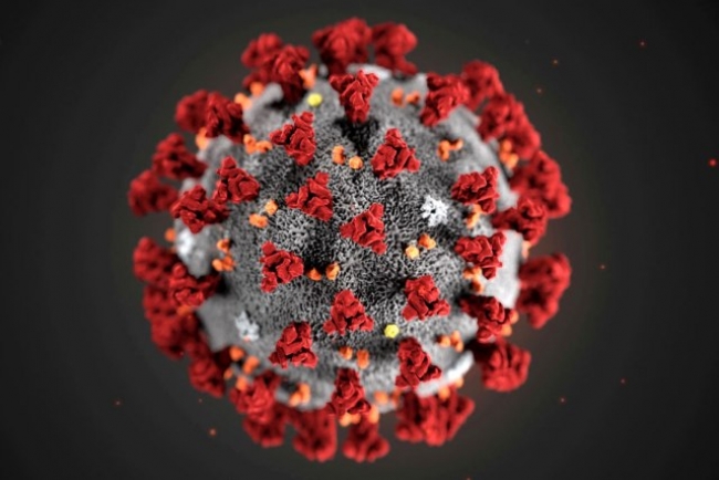 Количество смертей от коронавируса в регионе перевалило за сотню