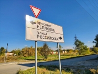 Троичане обеспокоены состоянием улицы Российской и экопарка